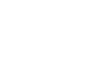 Rodeo & Horses
